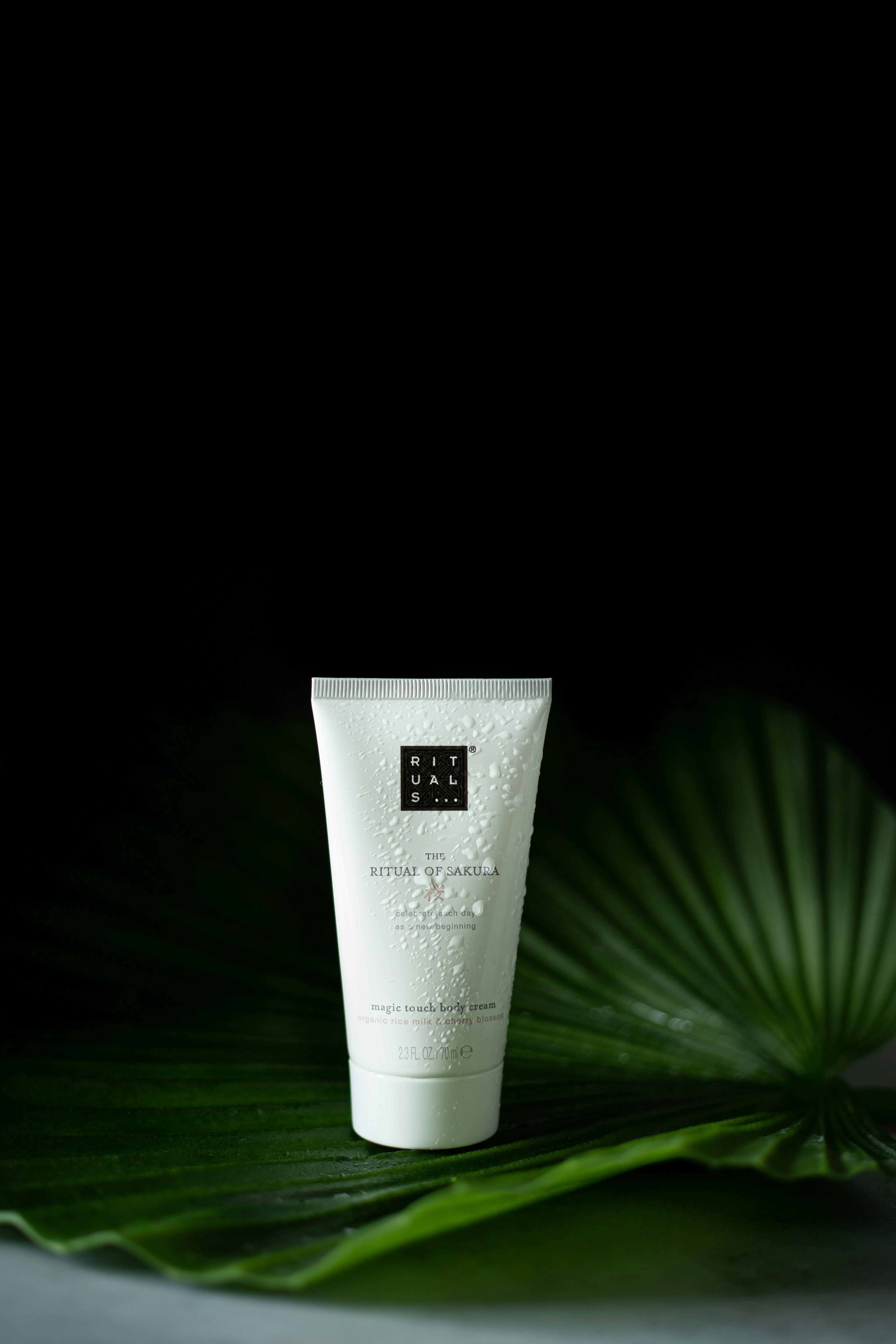 Botanical Cleanser